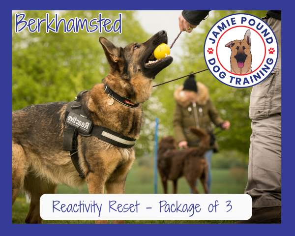 Reactivity Reset Package of 3