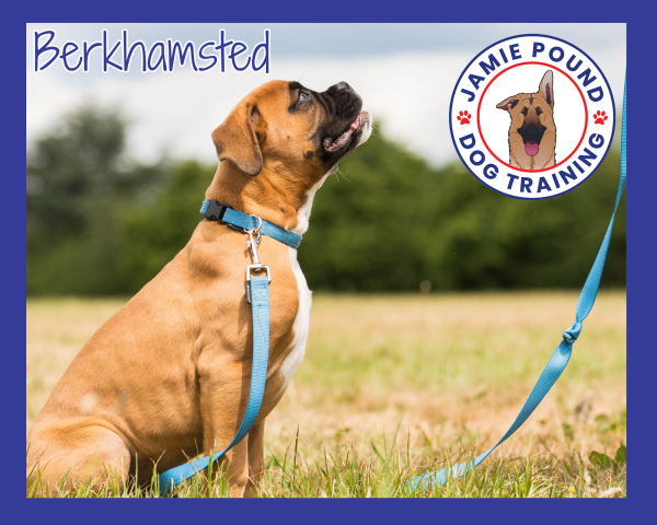 1-2-1 Behaviour Consultation Berkhamsted