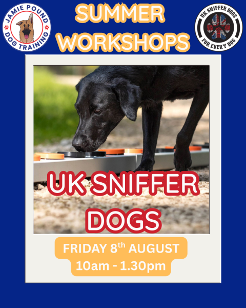 UK SNIFFER DOGS SERIES 1 WORKSHOP