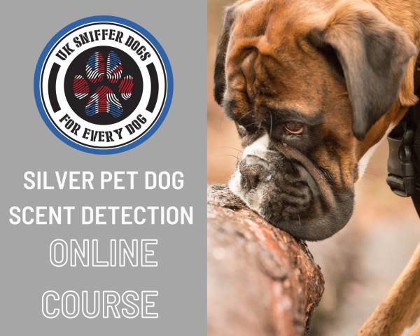 Silver Online Scent Detection Course from UK Sniffer Dogs