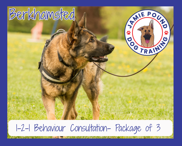 1-2-1 Behaviour Consultation Package of 3
