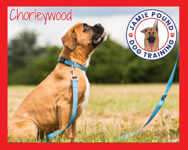 1-2-1 Behaviour Consultation Chorleywood