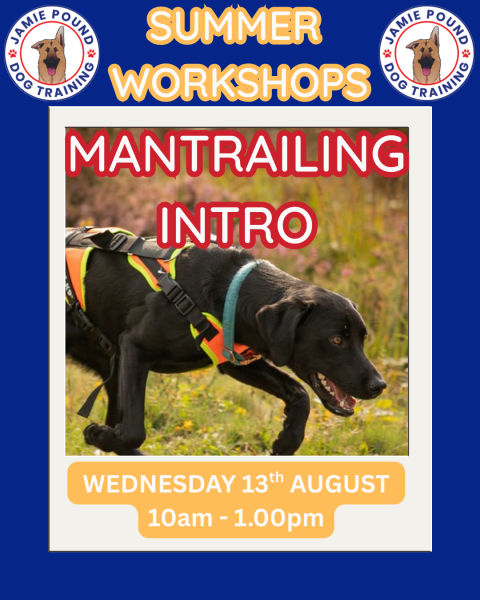 MANTRAILING INTRODUCTION