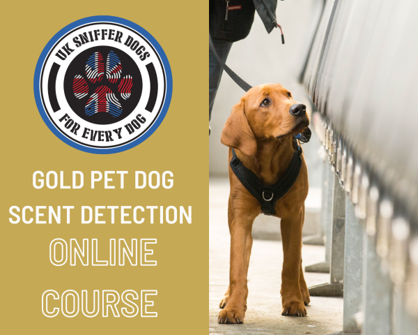 Gold Online Scent Detection Course from UK Sniffer Dogs