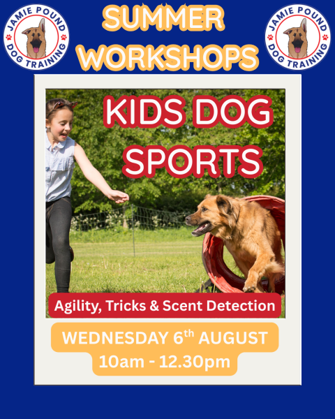 KIDS DOG SPORTS