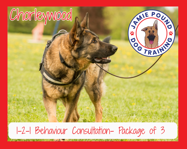 1-2-1 Behaviour Consultation Package of 3