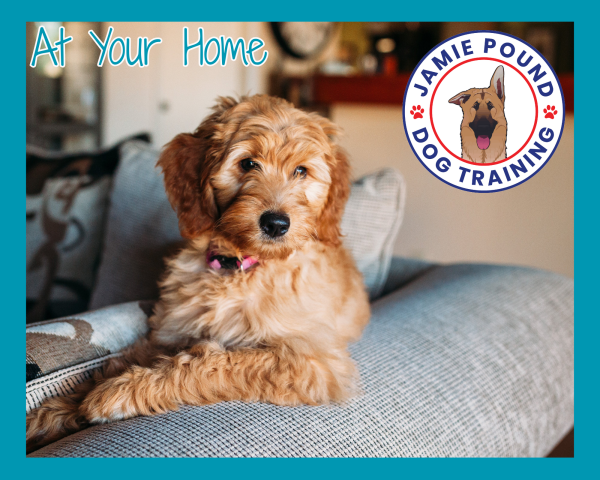 Home Visit Consultation