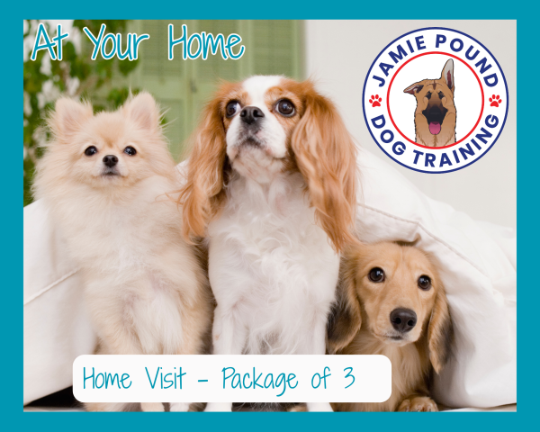 Home Visit Package of 3