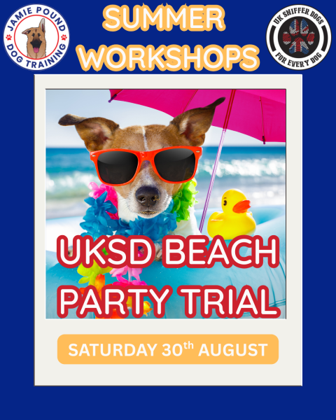 UK Sniffer Dogs Trial - THE Beach Party!