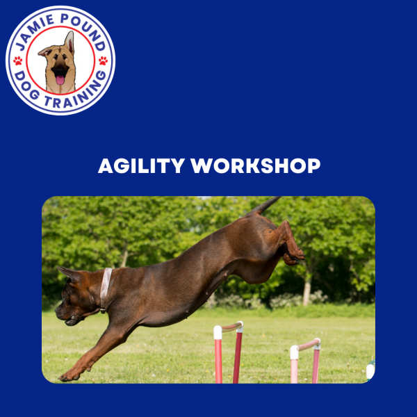 AGILITY WORKSHOP