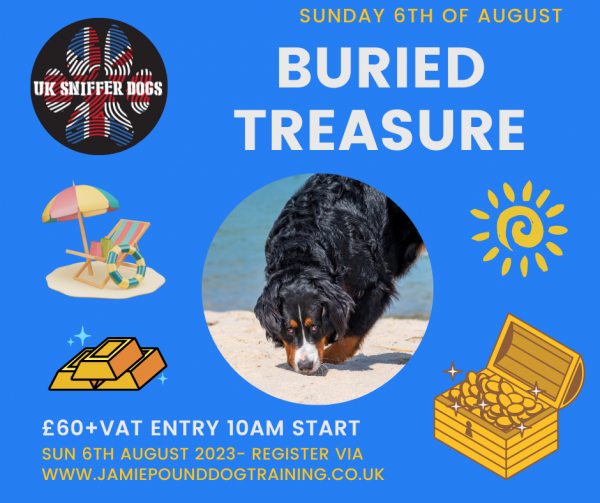 BURIED TREASURE COMPETITION
