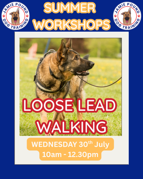 LOOSE LEAD WORKSHOP