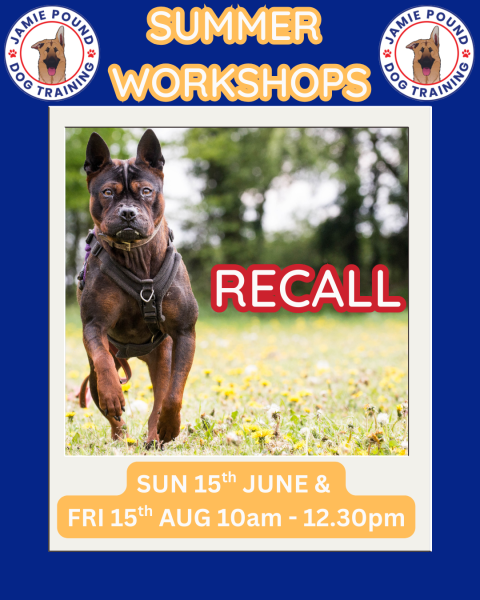 RECALL WORKSHOP