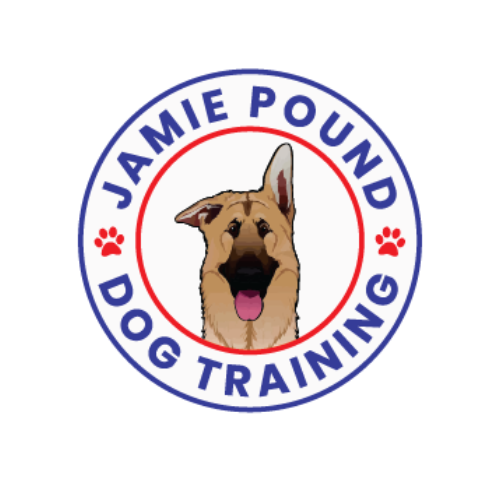 JPDT Online Academy