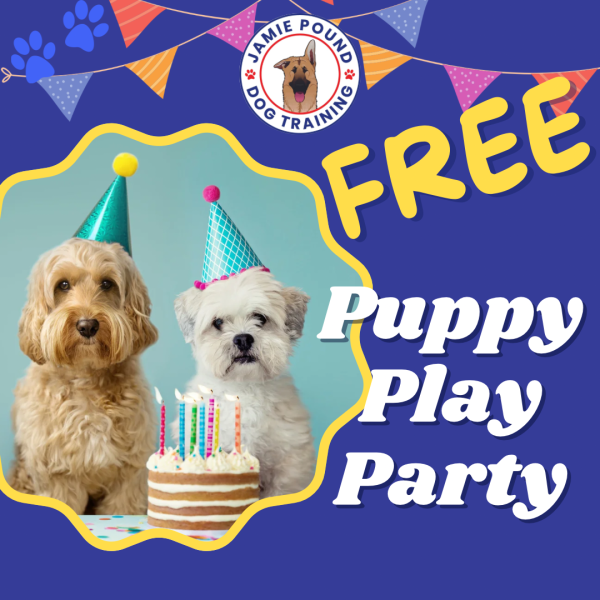 PUPPY PLAY PARTY (Wed 9th July)
