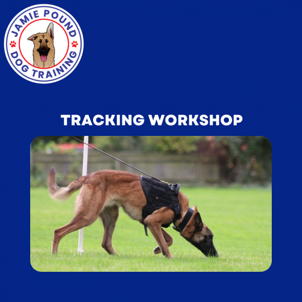 TRACKING WORKSHOP Series 1