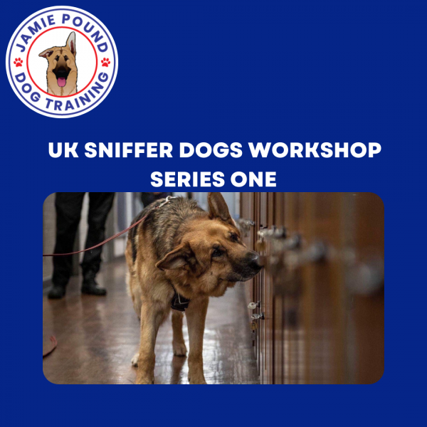 UK SNIFFER DOGS SERIES 1 WORKSHOP